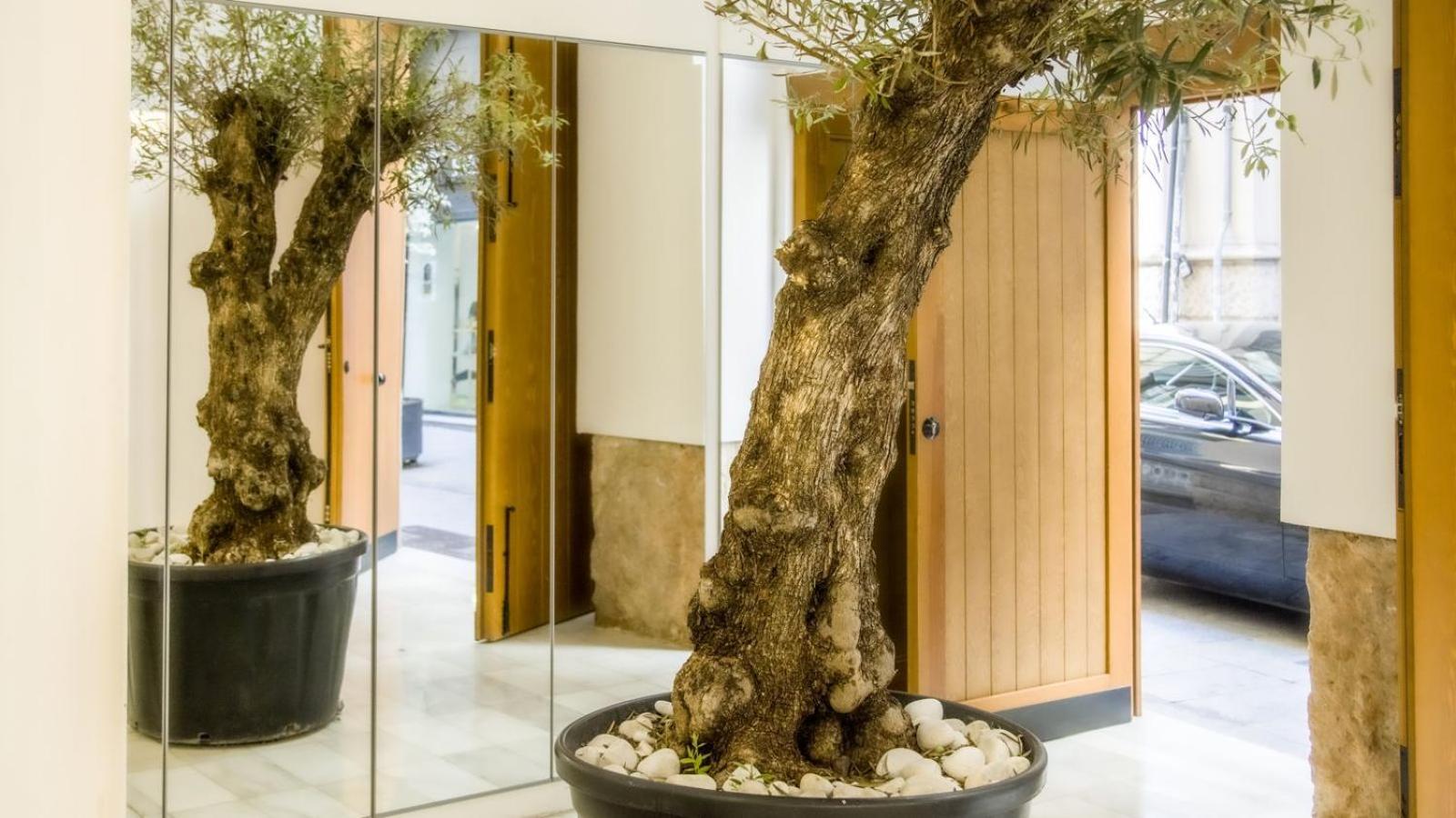 Catalina Suites Apartments Downtown Valencia Kültér fotó